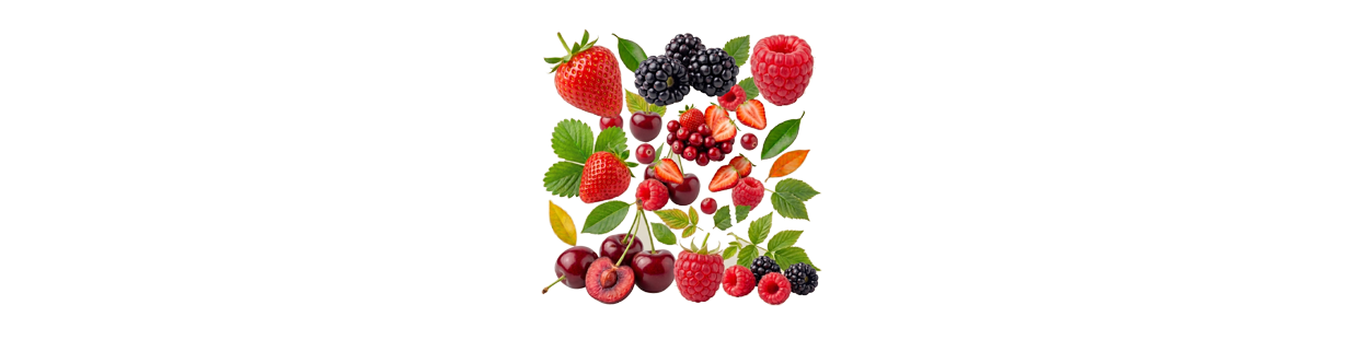 Fruits rouges