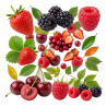 Fruits rouges