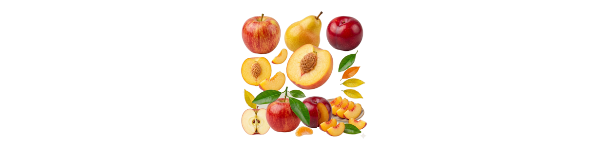 Fruits du Verger